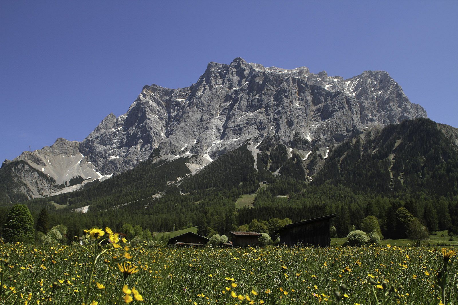 Die Zugspitze